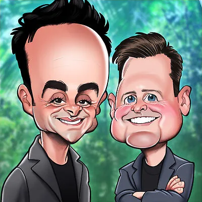 £6.49 • Buy Ant And Dec Birthday Greeting Sound Card Blank Inside Really Wild Cards