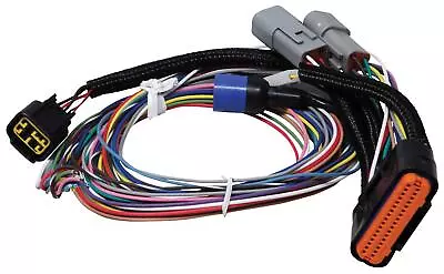 MSD Power Grid Replacement Wiring Harness 7780 • $153.95