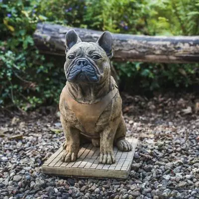 French Bulldog Frenchie Lifelike Stone Cast Ornament Garden Statue By DGS 51KGS • £303.99