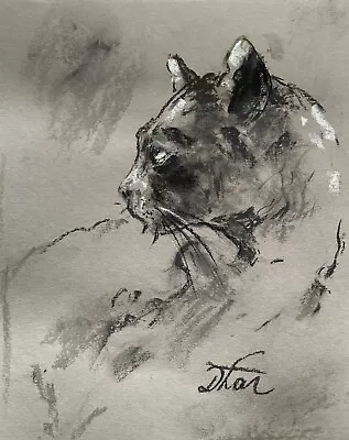 Impressionism Pastel Painting Drawing Dorothy Laz Cat • £24.84