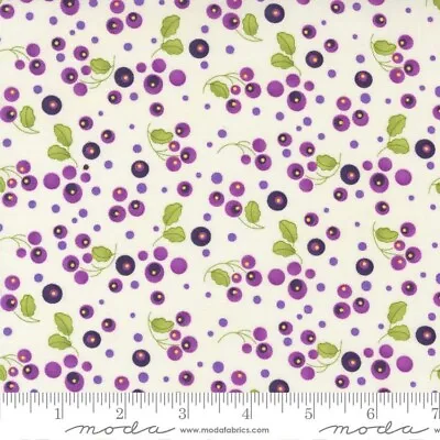 PANSY'S POSIES Plum Sm Flower Crm Quilt Fabric Moda Robin Pickens Sold By 1/2 Yd • $5.50