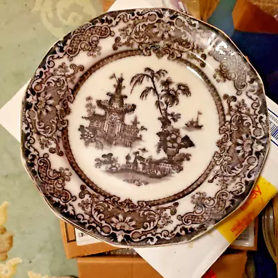 F. W. Co China - COREAN Flow Mulberry Asian Pattern - 9  DINNER PLATE • $32.95