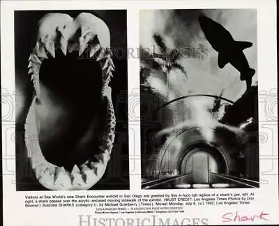 1992 Press Photo Shark's Jaw & Moving Sidewalk At Sea World's Shark Encounter • $16.88