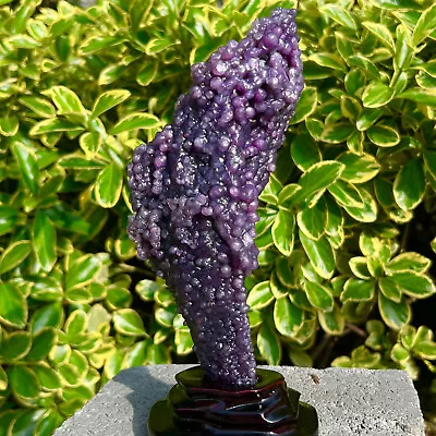 592G Beautiful Natural Purple Grape Agate Chalcedony Crystal Mineral Specimen • $9.50