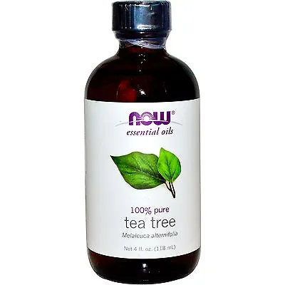 Tea Tree Oil (100% Pure) 4 Oz - NOW Foods Essential Oils • $17.49