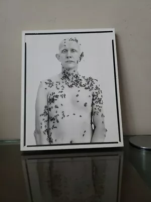 RICHARD AVEDON PORTRAITS 2002 HARRY N. ABRAMS NY MMA SLIPCASE 2nd PRINTING  • $19