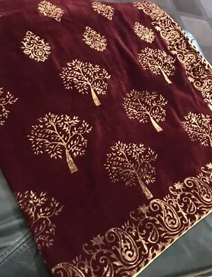 Beautiful Pakistani Velvet Shawl  • £24