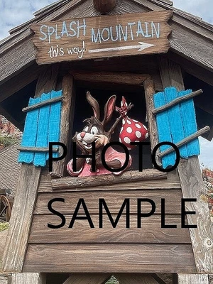 $12.95 • Buy Disney World Photo Of Brer Rabbit Before Splash Mountain Was Dismantled