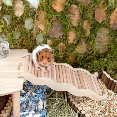 £7.45 • Buy Hamster Climbing Ladder With Groove Wooden Ramp Bridge Chew Toy For Guinea Pigs