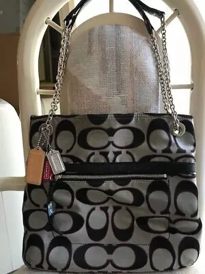 Coach Poppy Metallic Sig Slim Tote 21161 • $49