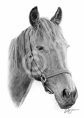 HORSE Pencil Drawing Print A3 / A4 Sizes Signed By Artist Gary Tymon Art • £8.99