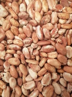 Cacao Beans Seeds Nibs Wild Grown DRİED 150g Caribbean Origin • £8.80