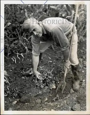 1940 Press Photo Agriculture Secretary Henry Wallace On New York Farm • $19.99