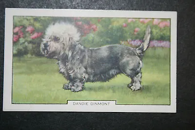 £3.99 • Buy DANDIE DINMONT  Vintage 1930's Coloured Card  QC28