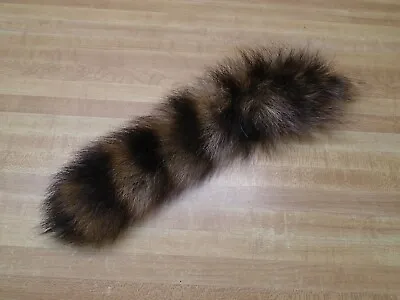 Extra Large Tanned Raccoon Tail #2 Quality • $12.99