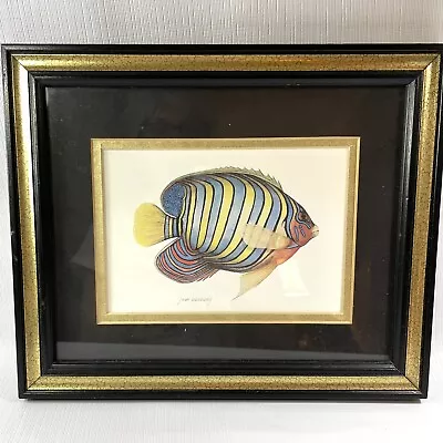 VTG Framed Signed Jean Cassady Colorful Tropical Fish Print Dbl Matte Framed • $24.98