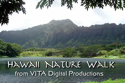 Hawaii Nature Walk - Treadmill Botanical Scenery Dvd - Exercise Fitness Video • $15.99