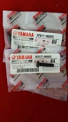 Yamaha RD250/350LC Footrest Bracket Hex Bolts X 2. Genuine Yamaha. New B49L • $8.50