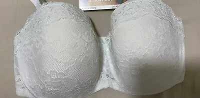 Brand New Ex M&S Lace Padded Strapless Bra Sizes 30-40 A-E White • £6.99