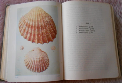 £14.99 • Buy 1951 Shell Life British Mollusca Edward Step Antiquarian Natural History