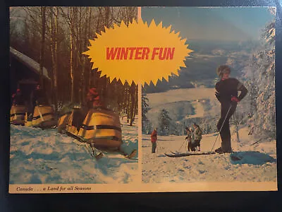 Winter Fun (Bracebridge Ontario) -  Real Picture - Postcard - 1960's • $9.99