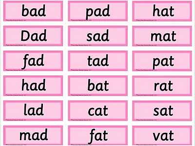 PINK SERIES | Montessori Activity - Word Cards | Educational Material • $25.21