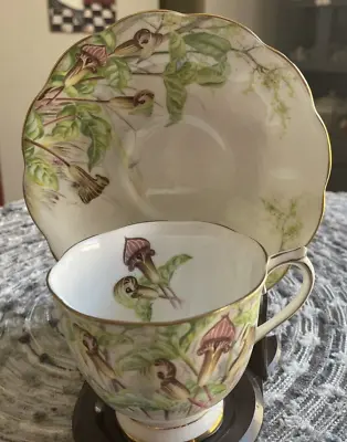 VINTAGE TEA CUP AND SAUCER ROYAL ALBERT  JACK-IN-A-PULPIT  1960s • $27
