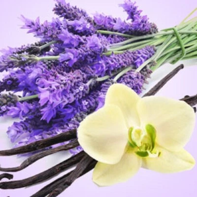 $20.95 • Buy PREMIUM HIGHLY SCENTED REED DIFFUSER REFILLS -Lavender & Vanilla Fragrance