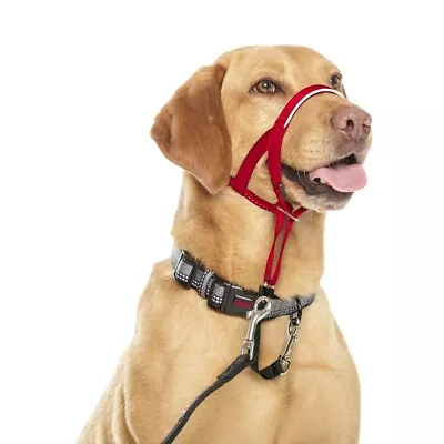 Halti Dog Headcollar Stops Pulling Kindly Training Comfortable Red Sizes 1 2 3 4 • £14.59