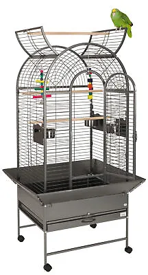 Liberta Cortes Parrot Cage • £301.15