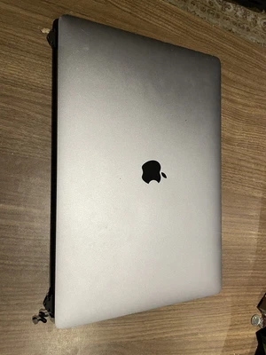 £44.99 • Buy Genuine MacBook Pro 16  EMC 3347 A2141 Screen LCD Assembly 2019 Space Faulty
