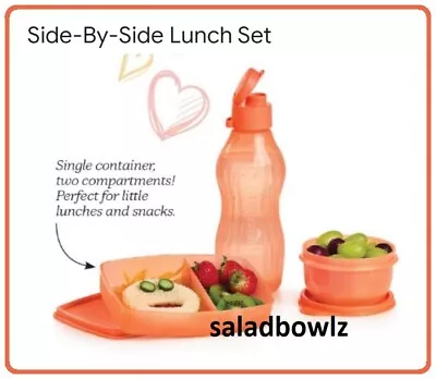 TUPPERWARE New SIDE-BY-SIDE LUNCH SET Divided Container Idea'l Litl Bowl Eco Bot • $12