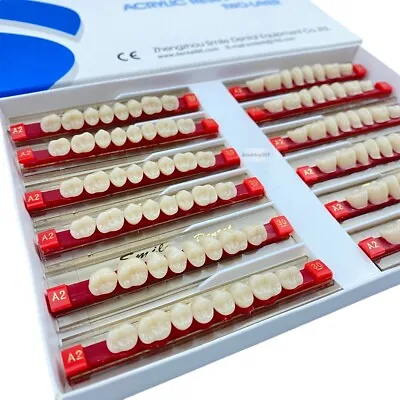 96pcs Acrylic Resin Teeth Denture Posterior Size 30 Upper Lower Dental VITA A2 • $18.95