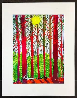 DAVID HOCKNEY - 11x14 In. Matted Print - FRAME READY - Hand Signed Signature • £185.85