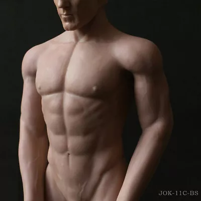 1/6 Seamless Muscular Male Figure Body For 12  TBLeague Hot Toys BBI Phicen Head • £6.69