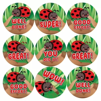 144 Ladybird Praise Words Reward Stickers For School Teachers Parents (30mm) • £2.98