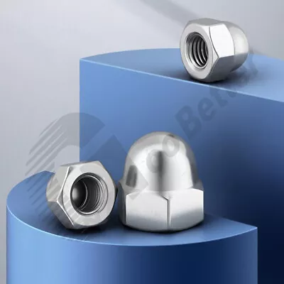 M3M4M5M6M8~M24 Acorn Cap Nuts Dome Head Decorate Nut 304 Stainless Steel Cap Nut • $3.99