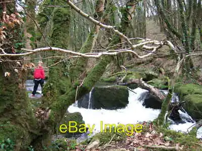 $2.40 • Buy Photo 6x4 Golitha - The Falls Lower Treworrick There Is A Lovely Walk Alo C2006