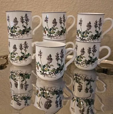 Villeroy Boch Botanica Mug Set Of 7 Veronica Officinalis Floral Coffee Tea New! • $189.99