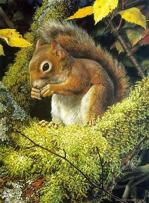 Carl Brenders THE ACROBAT'S MEAL Red Squirrel ARTIST PROOF A/P #7/56 • $350