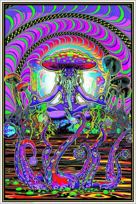 The Shroomer Non-Flocked Blacklight Poster 24  X 36  • $13.49