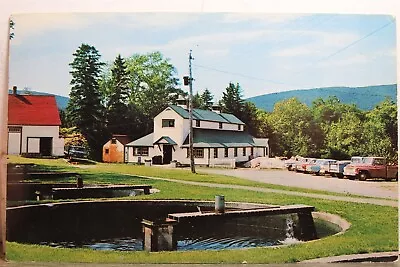 Canada Nova Scotia Cape Breton Margaree Valley Fish Hatchery Postcard Old View • $0.50