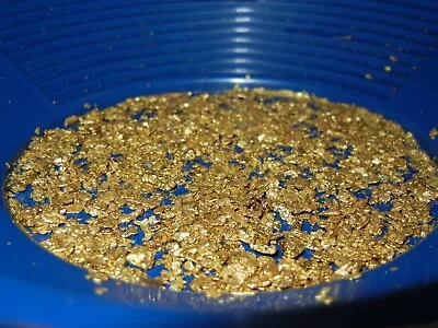 GOLD PAYDIRT UNSEARCHED CONCENTRATE 2+lbs CHUNKY PLACER NUGGETS PICKERS FLAKES • $32.50