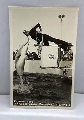 Rppc Fl Marine Land Fla Un Feeding Time Postcard • $5