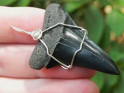 Extinct Mako Wire Wrapped Pendant Fossil Shark Tooth Necklace Megalodon Era  • $34.95