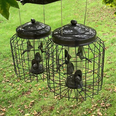 £32.99 • Buy Squirrel Proof Hanging Bird Seed Feeder Heavy Duty Garden Wild Birds (Set Of 2)