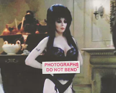 8x10 Photo Cassandra Peterson Sexy  Elvira Mistress OfThe Dark  Movie Star 1988 • $14.45