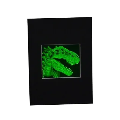 T- Rex Head 2-Channel Hologram Picture MATTED Collectible Hologram Picture • $29.95