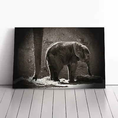 Mother And Baby Elephant (3) Canvas Wall Art Print Framed Picture Home Decor • £24.95