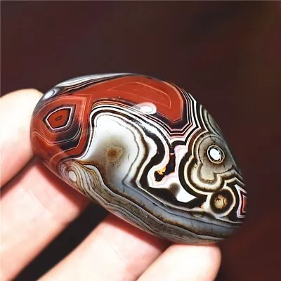 41g Natural Banded Agate Tumbled Palm Stone Crazy Lace Silk Healing Madagascar • $10.50